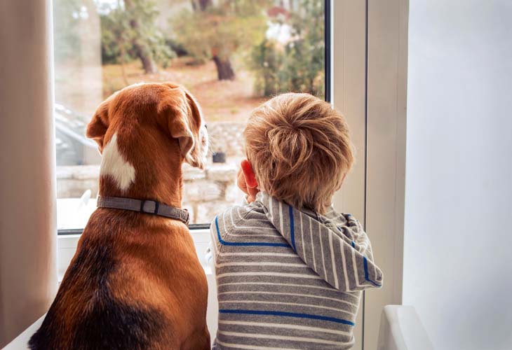 Kind und Hund